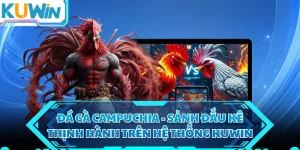 Đá Gà Campuchia - Sảnh Đấu Kê Thịnh Hành Trên Hệ Thống KUWIN