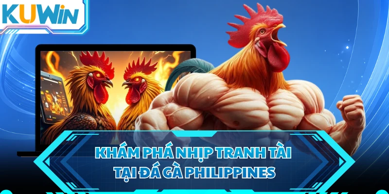 Khám phá nhịp tranh tài tại đá gà Philippines
